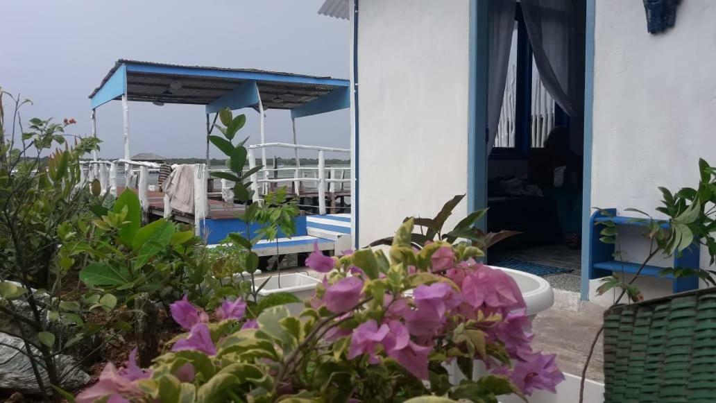 Blue Coral Homestay Karimunjawa Exterior foto